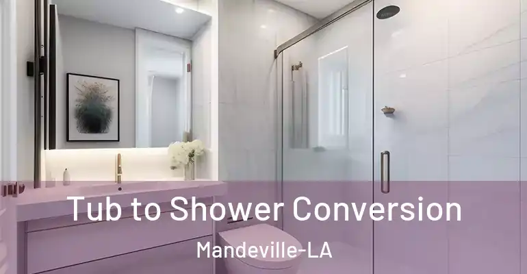 inner Bathroom imggen Tub to Shower Conversion Mandeville-LA