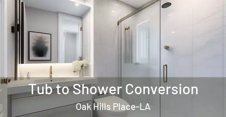 inner Bathroom imggen Tub to Shower Conversion Oak Hills Place-LA