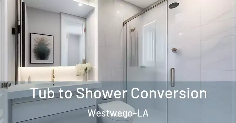 inner Bathroom imggen Tub to Shower Conversion Westwego-LA
