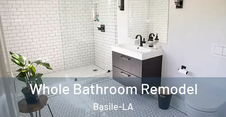 inner Bathroom imggen Whole Bathroom Remodel Basile-LA