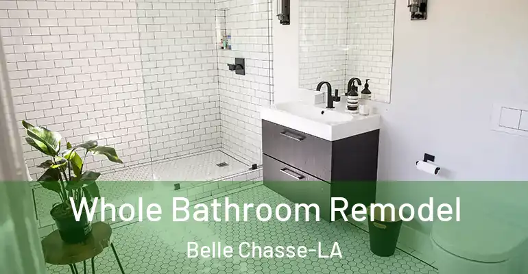 inner Bathroom imggen Whole Bathroom Remodel Belle Chasse-LA