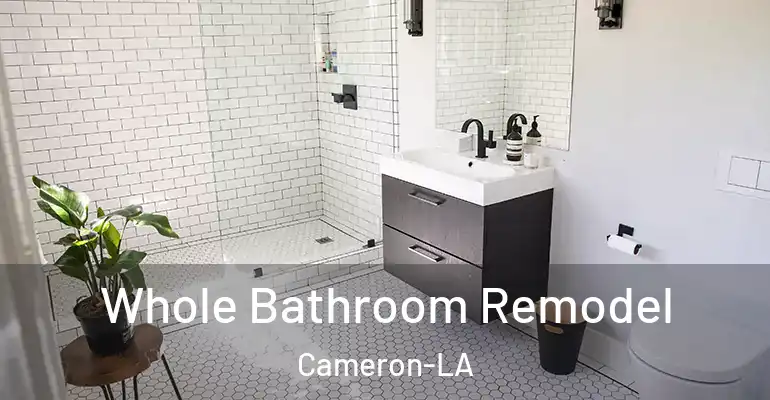 inner Bathroom imggen Whole Bathroom Remodel Cameron-LA