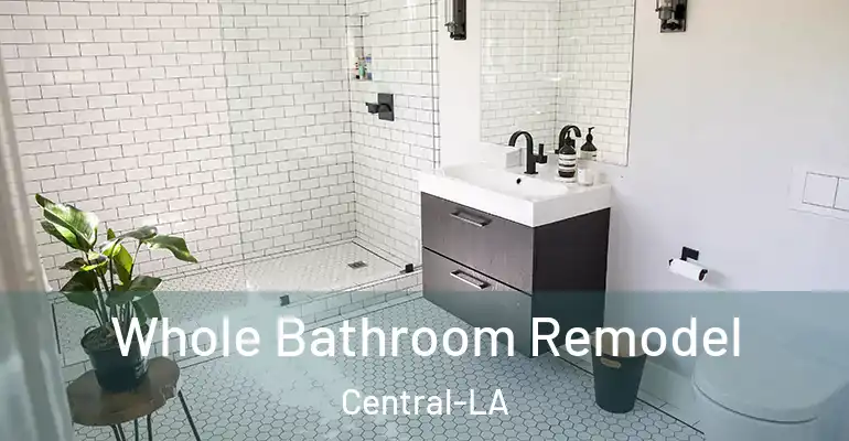 inner Bathroom imggen Whole Bathroom Remodel Central-LA