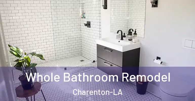 inner Bathroom imggen Whole Bathroom Remodel Charenton-LA