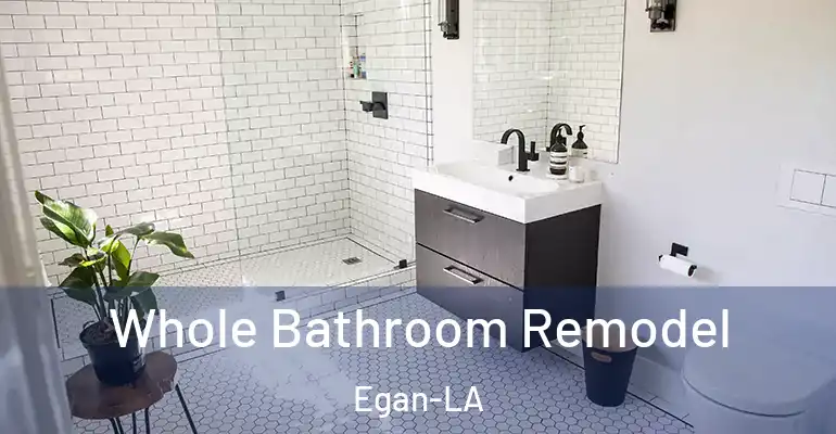inner Bathroom imggen Whole Bathroom Remodel Egan-LA