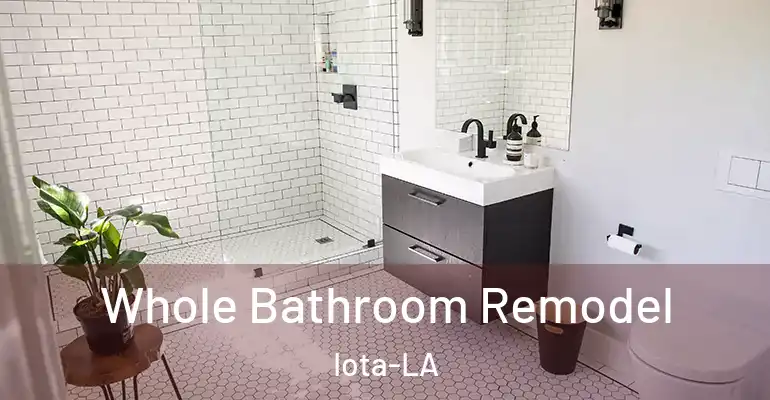 inner Bathroom imggen Whole Bathroom Remodel Iota-LA