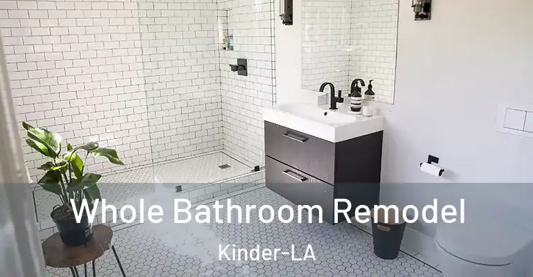inner Bathroom imggen Whole Bathroom Remodel Kinder-LA