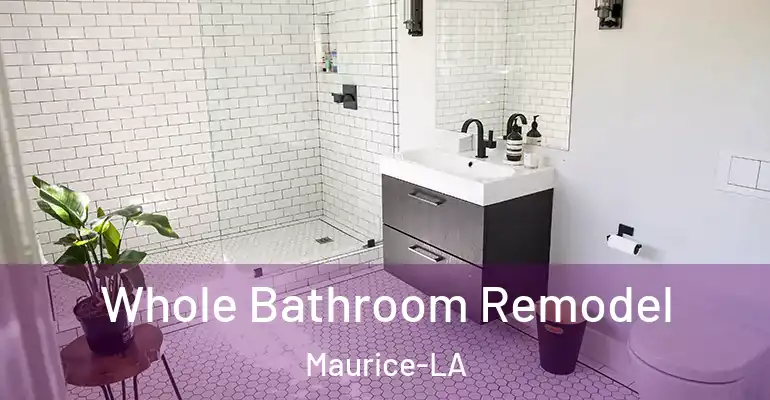 inner Bathroom imggen Whole Bathroom Remodel Maurice-LA