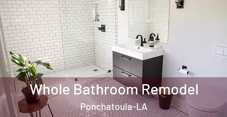 inner Bathroom imggen Whole Bathroom Remodel Ponchatoula-LA