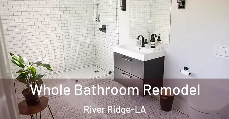 inner Bathroom imggen Whole Bathroom Remodel River Ridge-LA