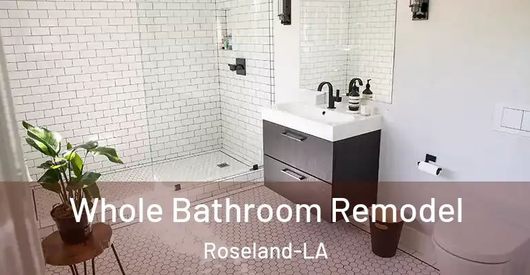 inner Bathroom imggen Whole Bathroom Remodel Roseland-LA