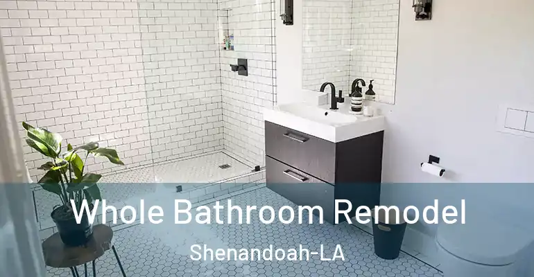 inner Bathroom imggen Whole Bathroom Remodel Shenandoah-LA