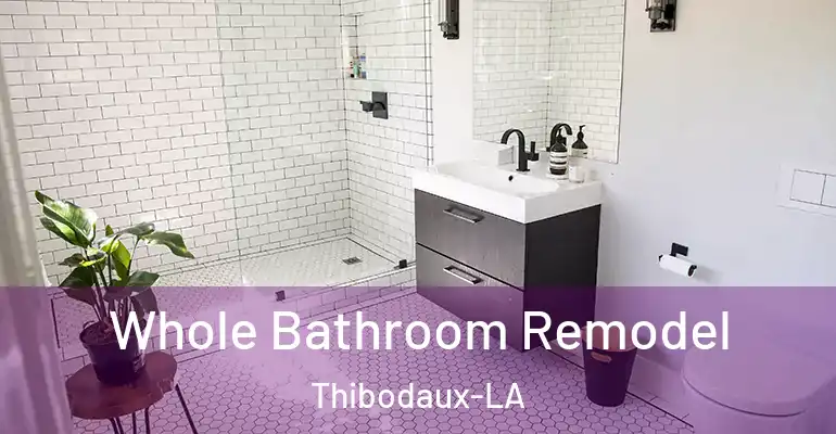 inner Bathroom imggen Whole Bathroom Remodel Thibodaux-LA