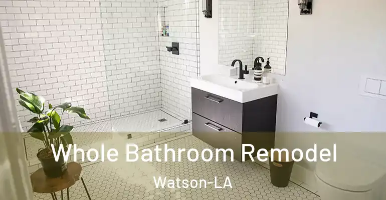 inner Bathroom imggen Whole Bathroom Remodel Watson-LA
