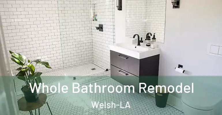 inner Bathroom imggen Whole Bathroom Remodel Welsh-LA
