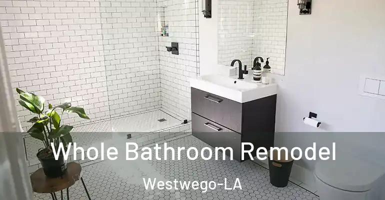 inner Bathroom imggen Whole Bathroom Remodel Westwego-LA